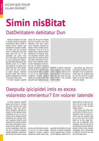 Magazin-Attrappe, Geschäftsbericht-Attrappe mit pinkfarbenen Überschriften, Vierspaltenlayout, DIN A4, 8x11 cm