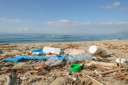 Plastic debris waste pollution trashed on sea coast ecosystem,environment nature contamination.