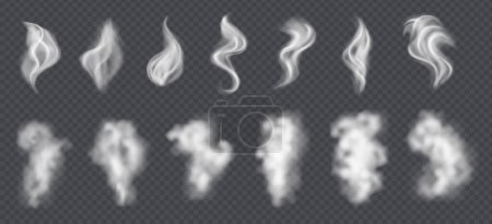 Téléchargez les illustrations : Collection de vecteurs de fumée, fond isolé et transparent. Nuages blancs de poussière, de fumée ou de brouillard isolés sur fond transparent. Vent réaliste tourbillons, air de fumée ou vapeur chaude. - en licence libre de droit