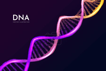 Illustration for Abstract vector DNA structure. Medical science background. Double helix structure of abstract DNA model. - Royalty Free Image