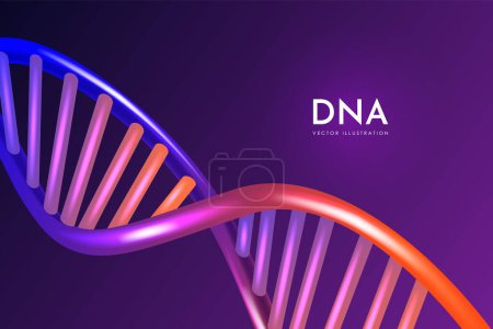 Illustration for Abstract vector DNA structure. Medical science background. Double helix structure of abstract DNA model. - Royalty Free Image