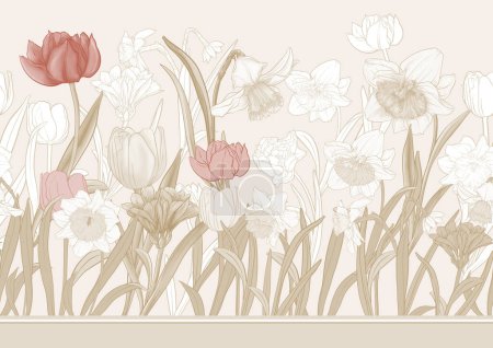 Téléchargez les illustrations : White daffodils and tulips flowers, the early spring flowers. Seamless border pattern, linear ornament, ribbon Vector illustration. In botanical style - en licence libre de droit