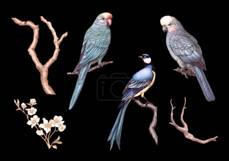 Blühende Bäume mit Vögeln und Papageien. Set, Element für Design. Vektorillustration. In Chinoiserie, botanischem Stil