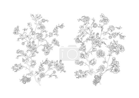 Téléchargez les illustrations : Blossom tree Clip art, ensemble d'éléments pour le design Illustration vectorielle. En chinoiserie, style botanique Isolé sur fond blanc. - en licence libre de droit