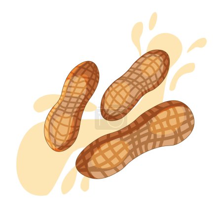 Illustration for Peanut nuts in shell.Peanut butter logo - Royalty Free Image