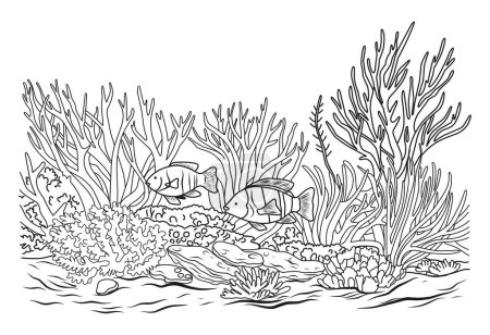 Illustration for Ocean bottom coloring page with fish and algae. Sea life coloring book - Royalty Free Image