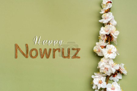 Marillenzweige mit Blüten Text Happy Nowruz Holiday Konzept des Frühlings kam von oben Flache Lage Hallo März, April, Mai, persisches Neujahr.