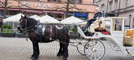 Foto de Caballos con carruaje. Plaza del mercado de Cracovia en Polonia 2024 - Imagen libre de derechos