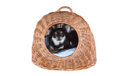 Wicker pet carrier or transport cage isolated on white background