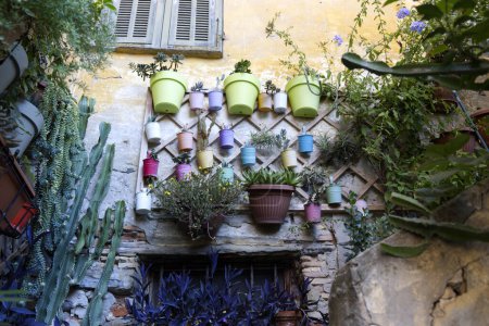 Photo for Typical glimpse of a Ligurian courtyard. High quality photo - Royalty Free Image