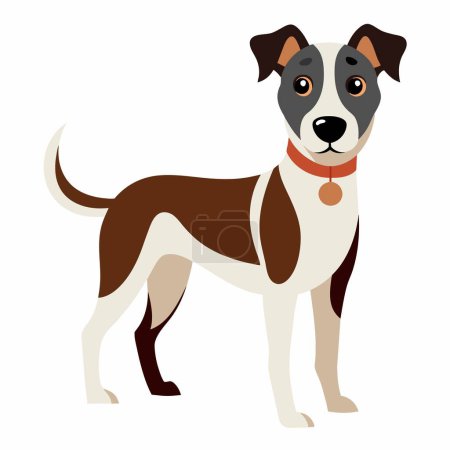 Una ilustración de un perro de piel marrón y blanca, con un collar rojo, de pie sobre un fondo blanco. Este animal de trabajo es un carnívoro y un perro de compañía, parte de la raza Sporting Group