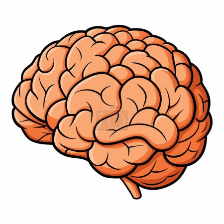 Eine Zeichentrickillustration, die ein menschliches Gehirn vor weißem Hintergrund zeigt