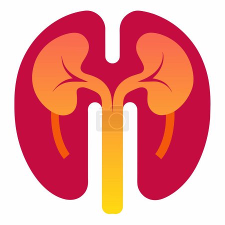 The image depicts a red circle containing two kidneys with a yellow tube protruding from them. It could be seen as a symbol of health or medical treatment