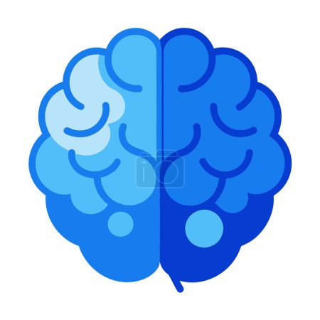 Ein blaues Gehirn, unterteilt in zwei Hälften, dargestellt auf einem weißen Hintergrund, der Symmetrie und Intellekt darstellt