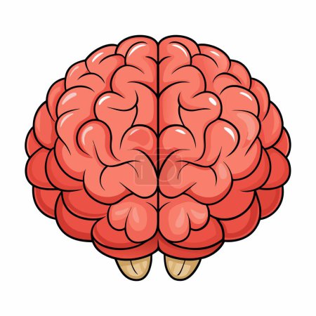 Eine Cartoon-Illustration eines menschlichen Gehirns auf reinweißem Hintergrund mit handgezeichneten Details