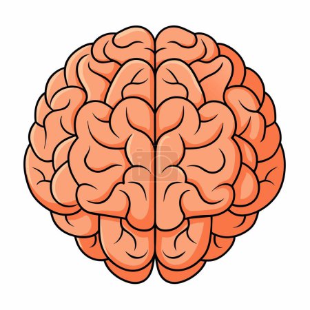 In diesem Bild ist ein menschliches Gehirn im Cartoon-Stil auf einem schlichten weißen Hintergrund dargestellt, der die Einfachheit und Klarheit der Illustration betont.