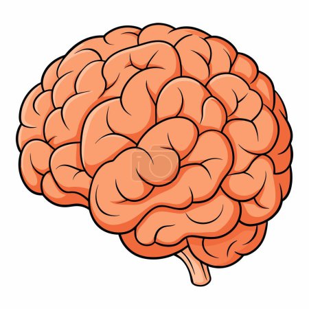 Eine Cartoon-Illustration, die ein menschliches Gehirn vor weißem Hintergrund zeigt und die komplizierten Details und die Komplexität dieses lebenswichtigen Organs betont
