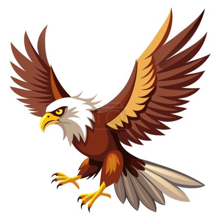 Ilustración de Un águila calva, ave rapaz de la familia Accipitridae, se eleva con sus alas extendidas sobre un fondo blanco - Imagen libre de derechos