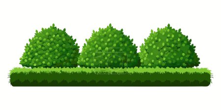 Una fila de arbustos verdes vibrantes se representa sobre un fondo blanco limpio, creando una imagen simple pero llamativa