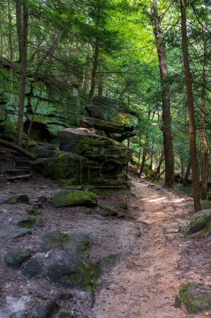 Téléchargez les photos : Sentier de randonnée sur le sentier Ledges dans le parc national de Cuyahoga Valley. Photo de haute qualité - en image libre de droit