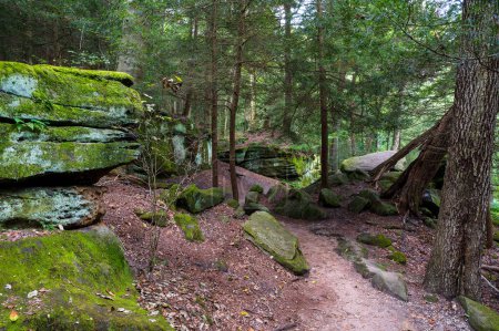 Téléchargez les photos : Sentier de randonnée sur le sentier Ledges dans le parc national de Cuyahoga Valley. Photo de haute qualité - en image libre de droit