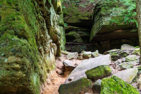 Téléchargez les photos : Entrée de grotte protégée pour chauves-souris sur le sentier de randonnée sur le sentier Ledges dans le parc national de Cuyahoga Valley. Photo de haute qualité - en image libre de droit