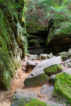 Téléchargez les photos : Entrée de grotte protégée pour chauves-souris sur le sentier de randonnée sur le sentier Ledges dans le parc national de Cuyahoga Valley. Photo de haute qualité - en image libre de droit