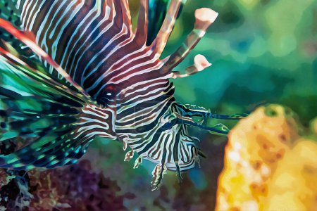 Photo for Digitally created watercolor painting of dangerous lionfish hovering over the coral reef. High quality illustration - Royalty Free Image