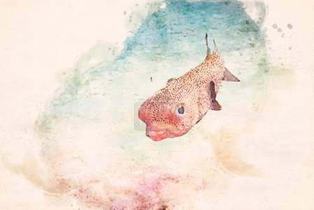 Téléchargez les photos : Aquarelle réalisée numériquement représentant un mignon poisson-porc-épic Diodon hystrix nageant au-dessus du récif corallien. Illustration de haute qualité - en image libre de droit