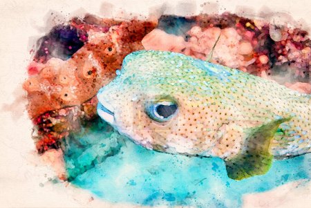 Photo for Digitally created watercolor painting of a cute Spot-fin porcupinefish Diodon hystrix swimming over the coral reef. High quality illustration - Royalty Free Image