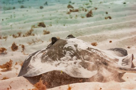 Téléchargez les photos : Aquarelle créée numériquement représentant un raie commun volant sur le fond sablonneux de l'océan. Illustration de haute qualité - en image libre de droit