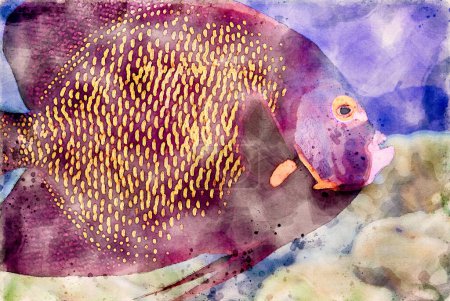 Foto de Pintura de acuarela creada digitalmente de un pez ángel francés adulto Pomacanthus paru en un océano azul. ilustración de alta calidad - Imagen libre de derechos