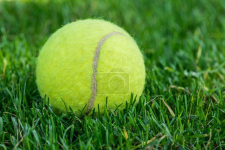 Téléchargez les photos : Tennis ball on mowed grass - en image libre de droit