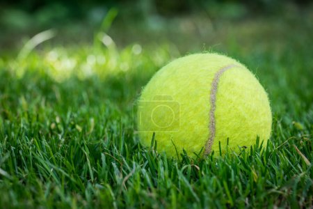 Foto de Tennis ball on mowed grass - Imagen libre de derechos