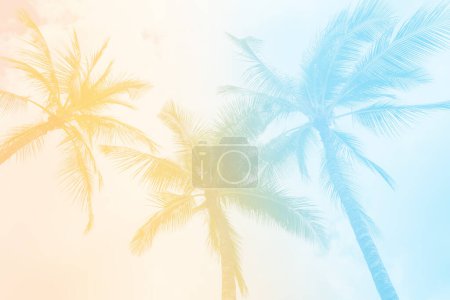 Téléchargez les photos : Tropical Palm Tree fond - couleur d'été pastel doux. tons rétro vintage - en image libre de droit