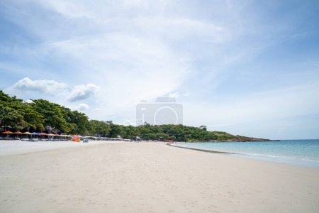 Téléchargez les photos : Belle plage avec ciel bleu avec espace de copie. - en image libre de droit