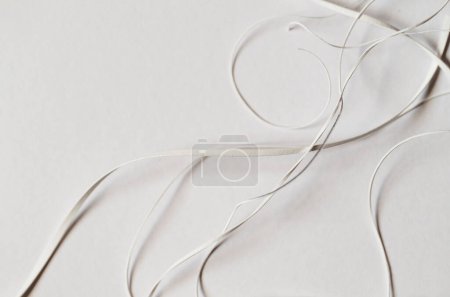 Foto de Los detalles de los trozos de las rayas cortadas de papel. Naturaleza muerta sobre fondo blanco. - Imagen libre de derechos