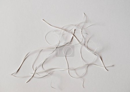 Photo for Details of scraps of cut paper strips. Still life on white background. - Royalty Free Image