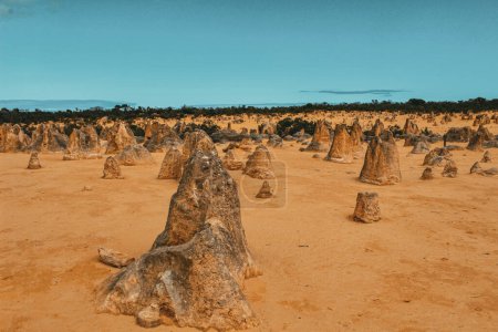 Famous Pinnacles Desert in Australia