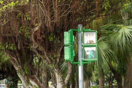Foto de Luz de señal peatonal única semáforo pequeño hombre verde en Taipei, Taiwán - Imagen libre de derechos