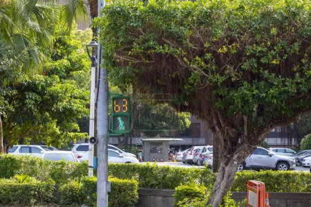 Foto de Luz de señal peatonal única semáforo pequeño hombre verde en Taipei, Taiwán - Imagen libre de derechos