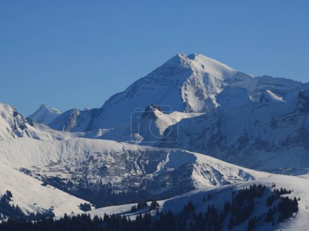 Téléchargez les photos : Brut solitaire, haute montagne dans l'Oberland bernois. - en image libre de droit