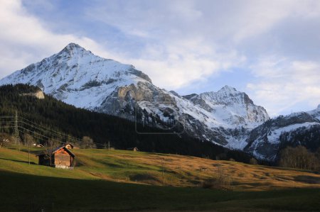 Téléchargez les photos : Green meadow and snow covered mountains Spitzhorn and Arpelistock. - en image libre de droit