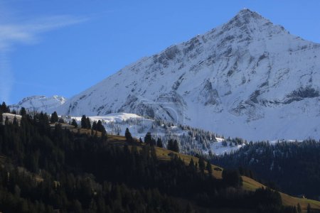 Photo for Snow covered Mount Spitzhorn and green hill. - Royalty Free Image