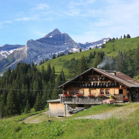 Escena de verano En el valle de Saanenland, Suiza.