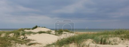 Foto de Dunas de arena, escena de la playa cerca de Hirtshals, Dinamarca. - Imagen libre de derechos