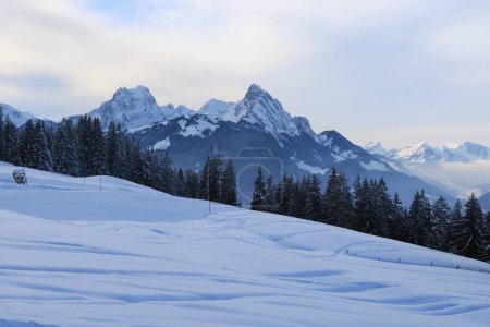 Téléchargez les photos : Piste de ski et montagnes Gummfluh et Le Rubli. - en image libre de droit