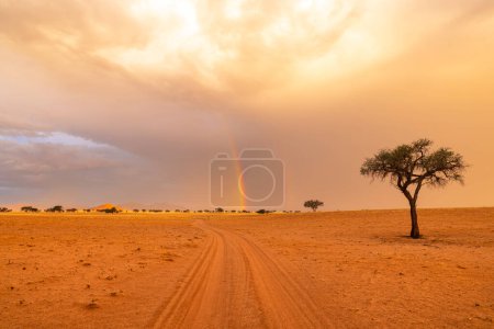 Rainbow after the rain in Namib Desert Namibia