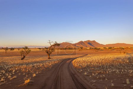 Jeep tracks through dry red sand Namibrand Namibia