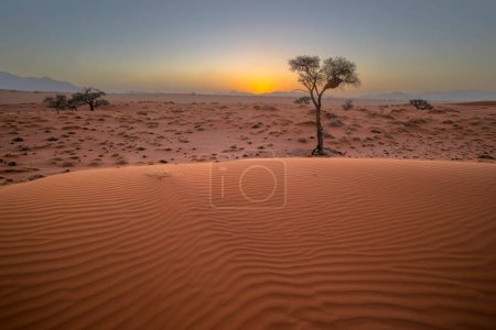 Wind swept patterns in the red sand after sunset Namibia